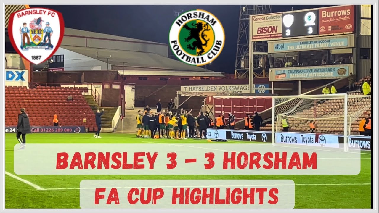 Barnsley Fc v Horsham fc Fa cup Highlights #barnsleyfc #facup #football #horsham