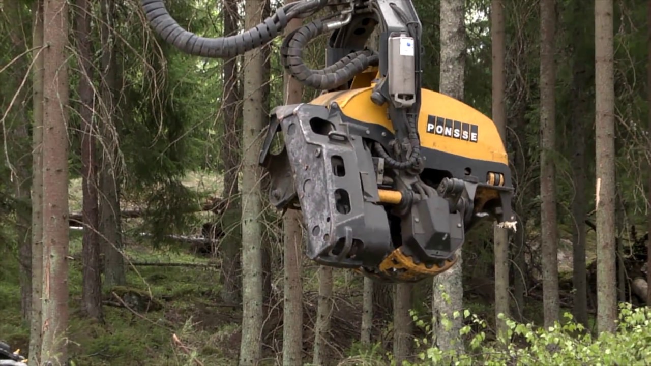 Rakkaudesta Metsään - Hakkuukoneen ohjaimissa