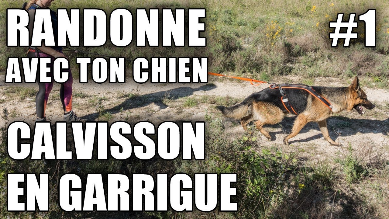 Randonn&eacute;e Gard | Calvisson, en garrigue [Vlog #1]