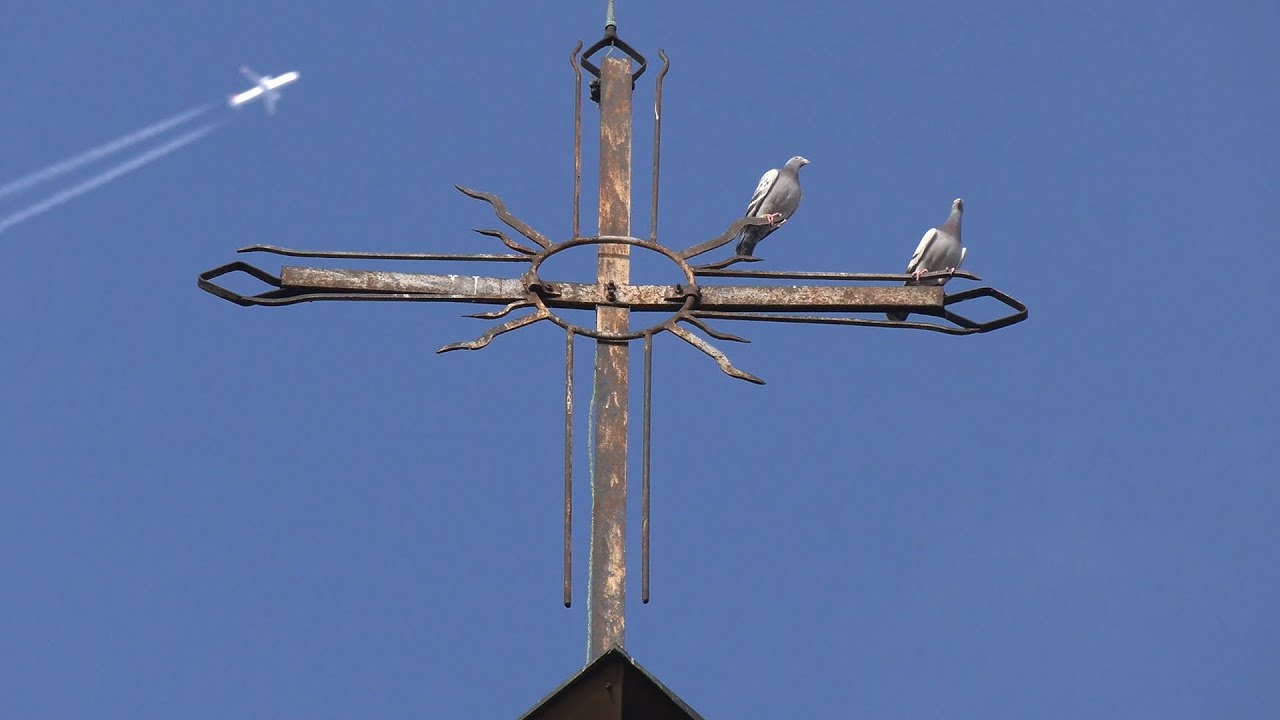 Parafia M.B. Różańcowej w Moszczenicy Śląskiej | Sakralne Dziedzictwo Śląska