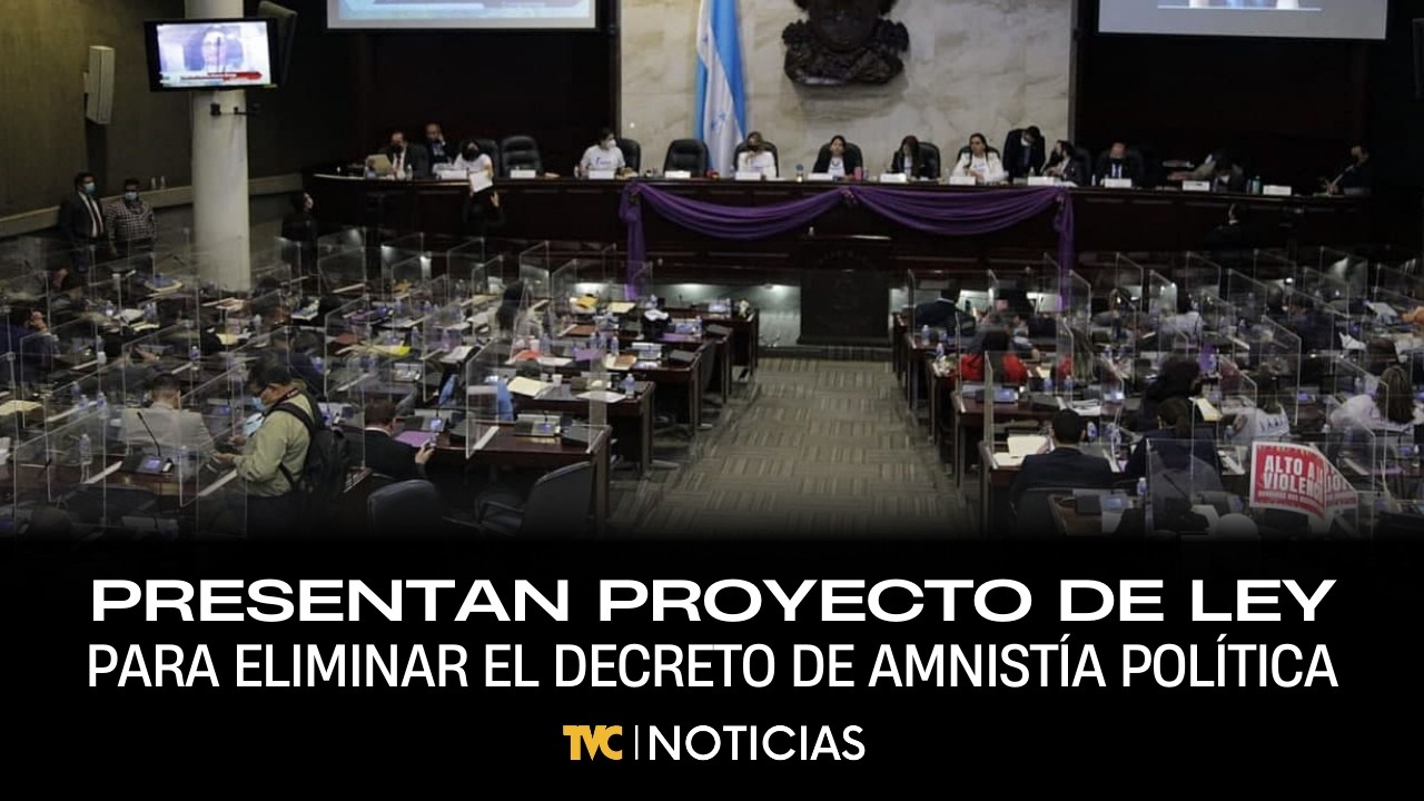 Presentan proyecto de ley para eliminar el decreto de amnistía política