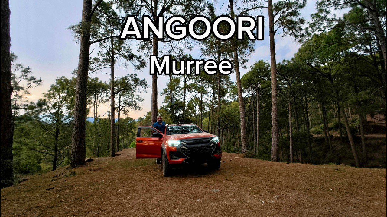 Islamabad to Angoori Village Murree | Road & Pine Forest Drive