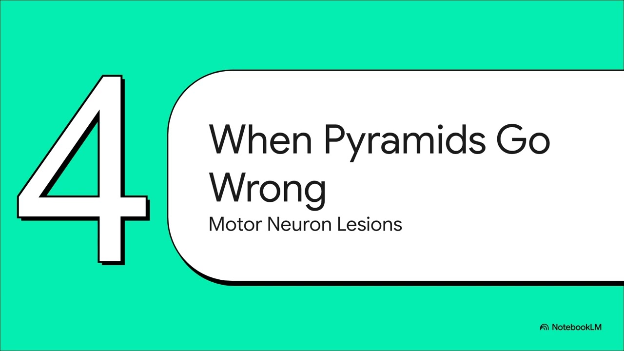 9. Neuroanatomy: Neurological Descending Pathways and Motor Disorders