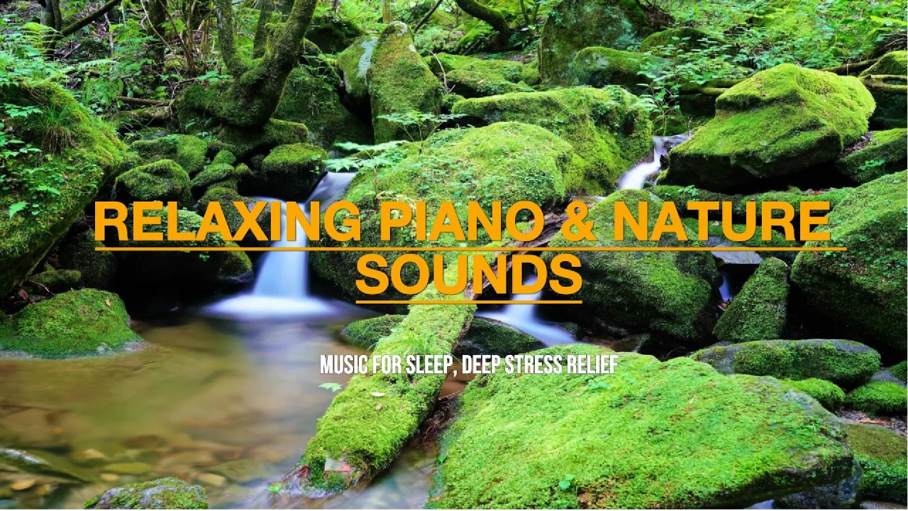 Relaxing Piano Music with Nature Sounds 🌿 Fall Asleep Fast