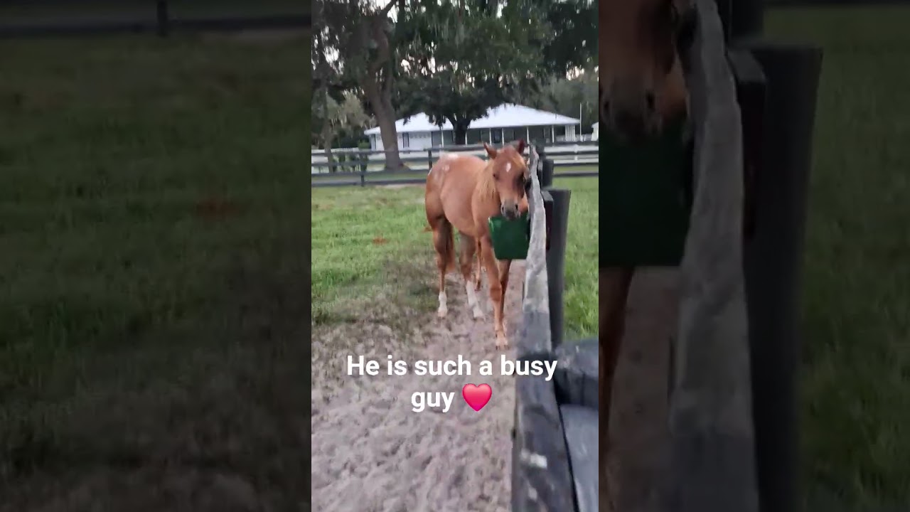 when you are excited to eat you cant stand still