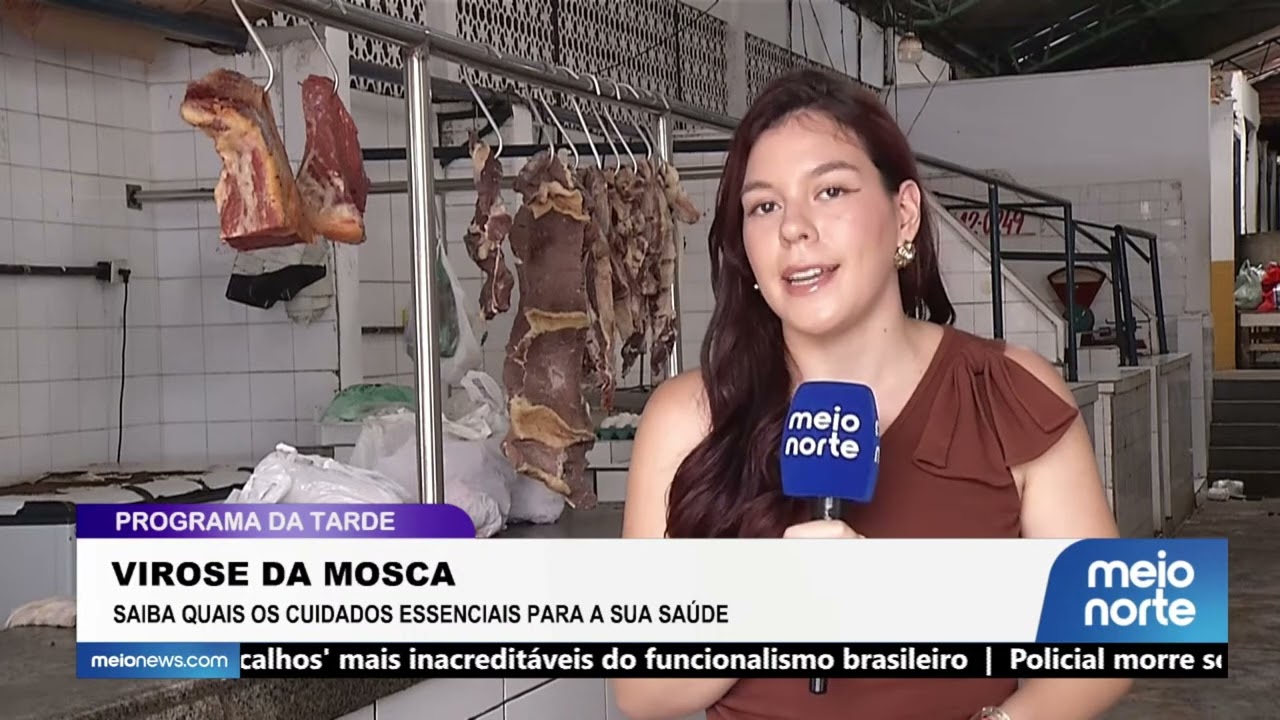 Virose da Mosca: Saiba quais os cuidados essenciais para a sua saúde | Programa da Tarde