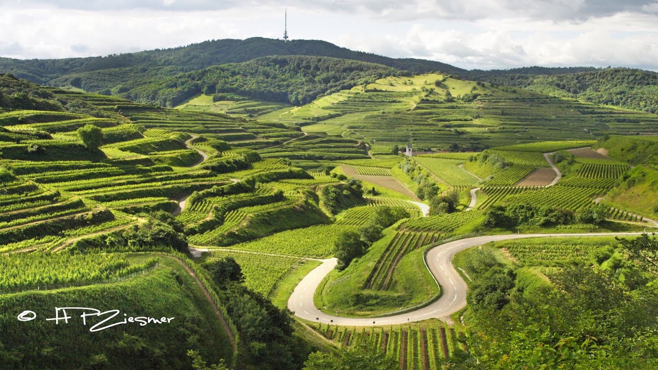 Kaiserstuhl im Sommer - Farben eines Jahres - Teil 2