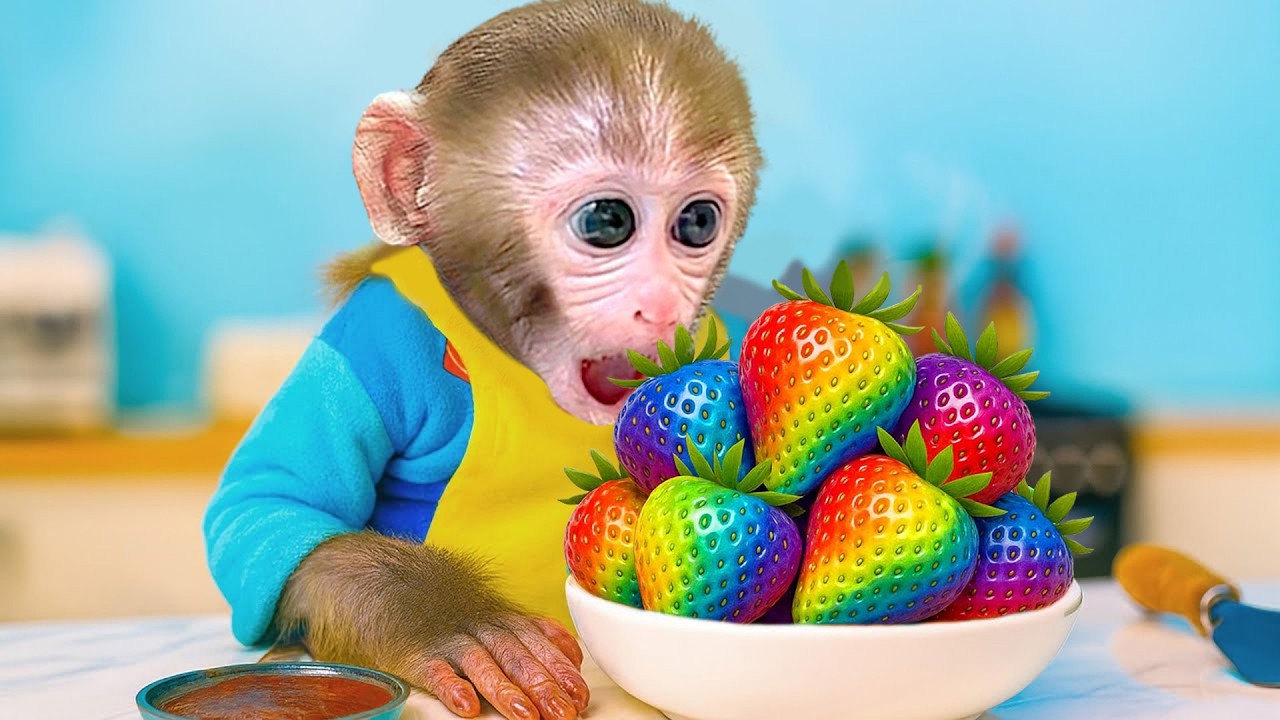Bebé Mono GoGo Entra En La Cocina Para Preparar Fresas De Muchos Colores! - Gogo ESP