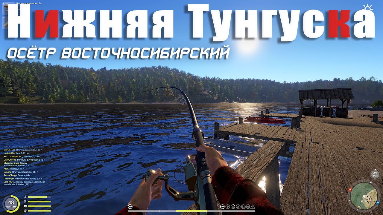 Осётр Восточносибирский • Нижняя Тунгуска • Фарм на Осётрах • Русская рыбалка 4