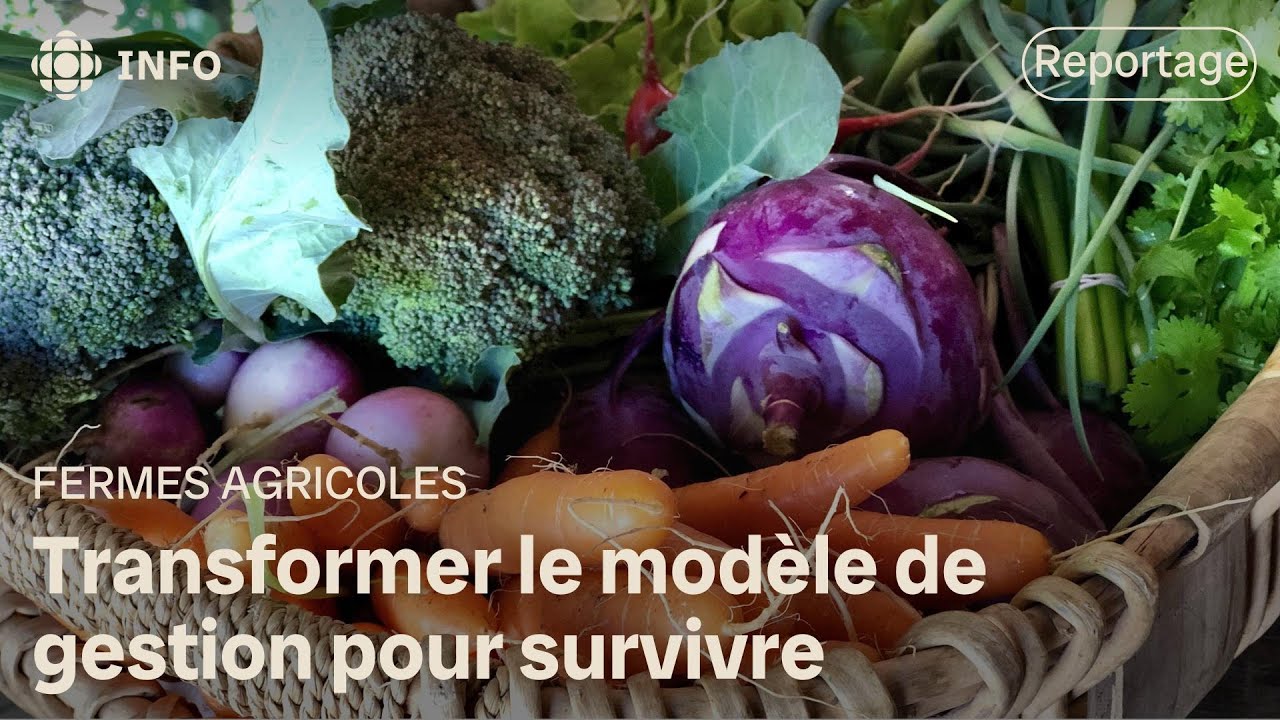 Des modèles de fonctionnement alternatifs pour les fermes offrant des paniers bios