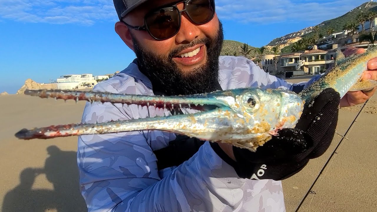Travel Rod Surf Fishing Cabo San Lucas