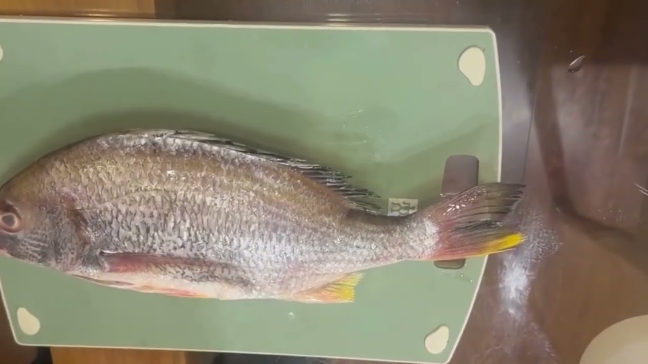 從冷凍魚體 同步熟成解凍技術