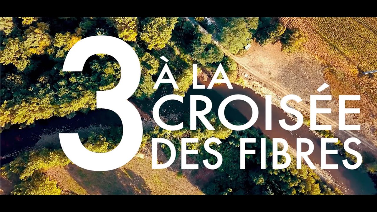 TRICOLOR Épisode 3 : À la croisée des fibres