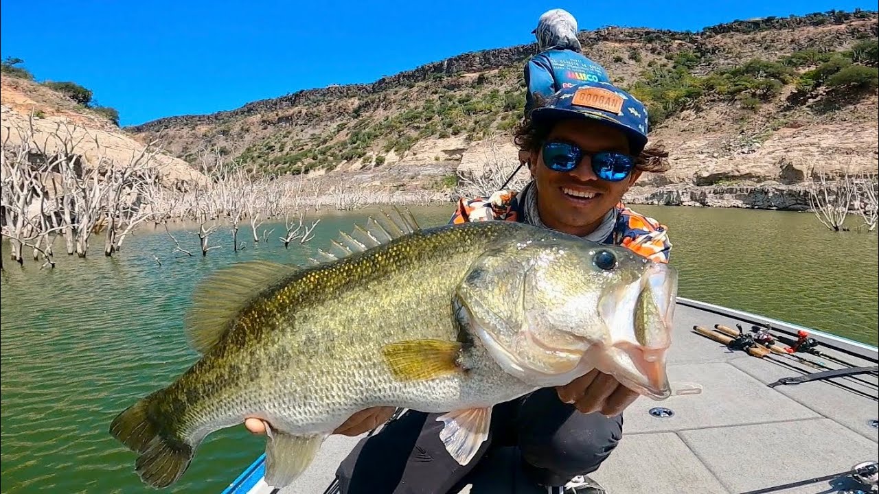 Lobina Gigante Ataca mi Swimbait! | Pesca en la Presa de Zimapan