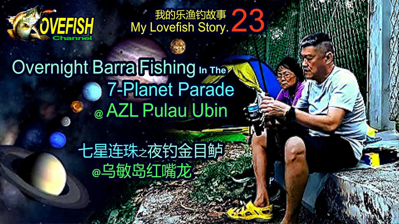 Overnight Barra Fishing in the 7-Planet Parade @ AZL Pulau Ubin 七星连珠之夜钓金目鲈@乌敏岛红嘴龙 - 我的乐渔钓故事 MLFS.23