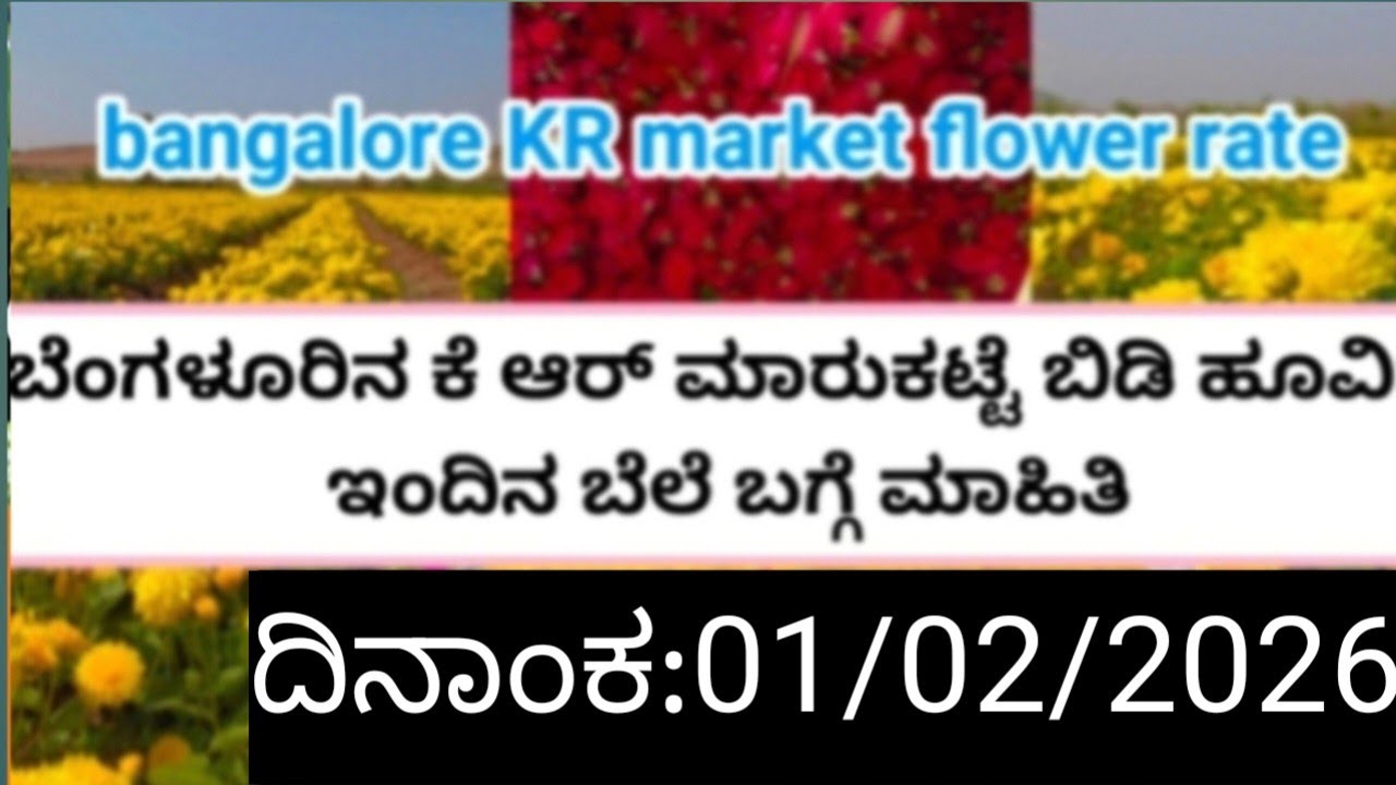 Bangalore KR flower market today rate update/01/02/2026
