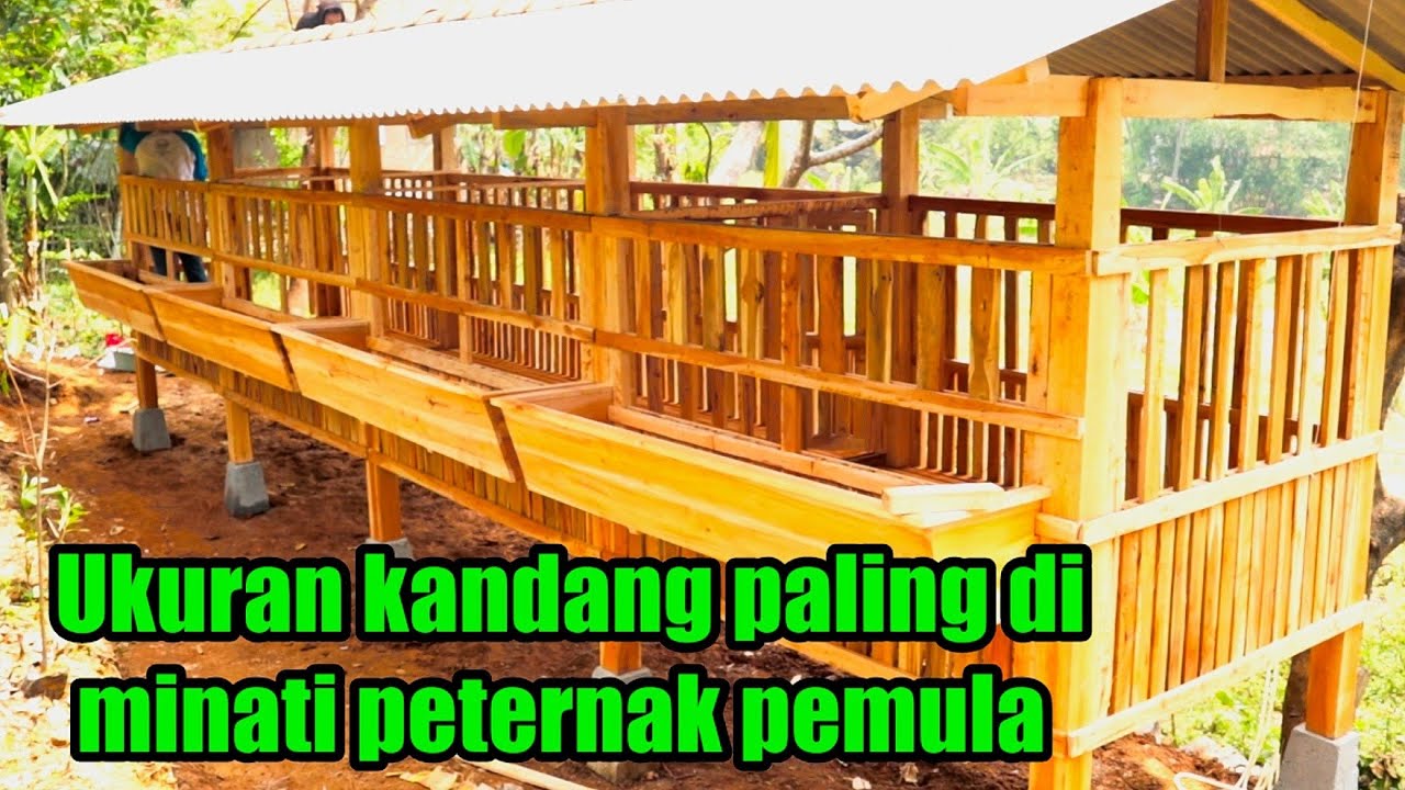 Spek detail kandang ekonomis cocok untuk pemula +62 838-6962-0470