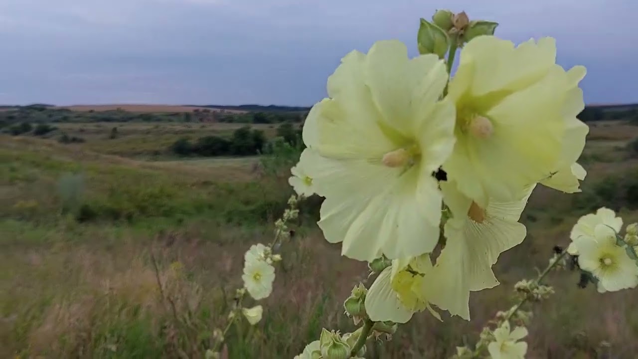 Всё, что в душе