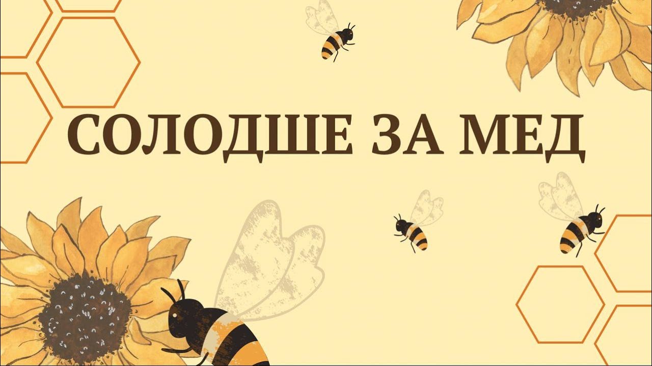 Табір «Солодше за мед» 2025