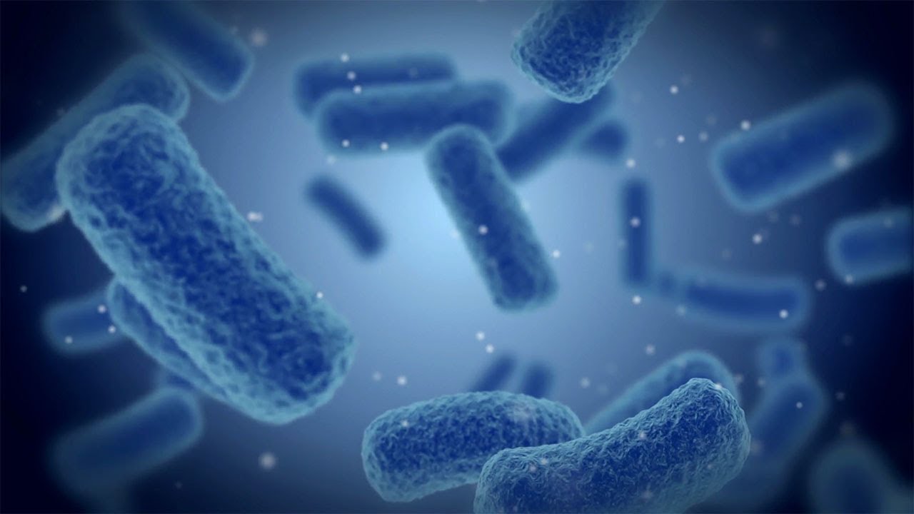 Revealing what makes bacteria life-threatening