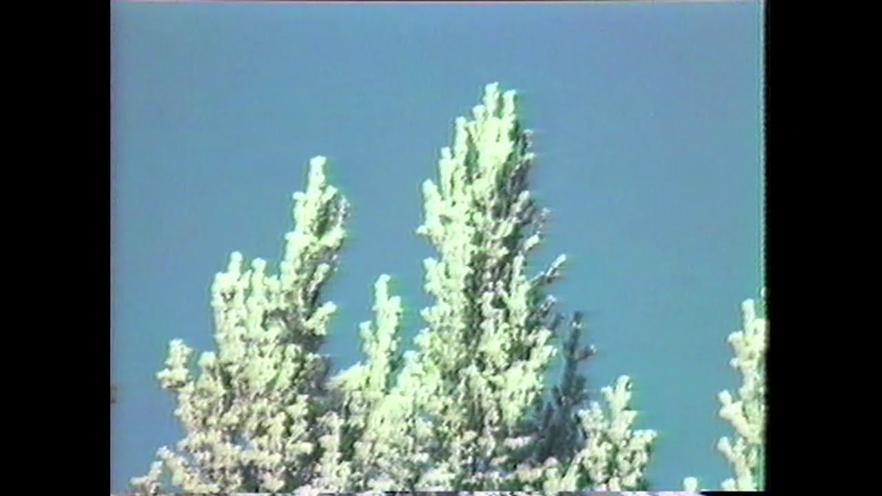 SUNDBORN VI MINNS: En Januaridag i Lillt&auml;kt 1982