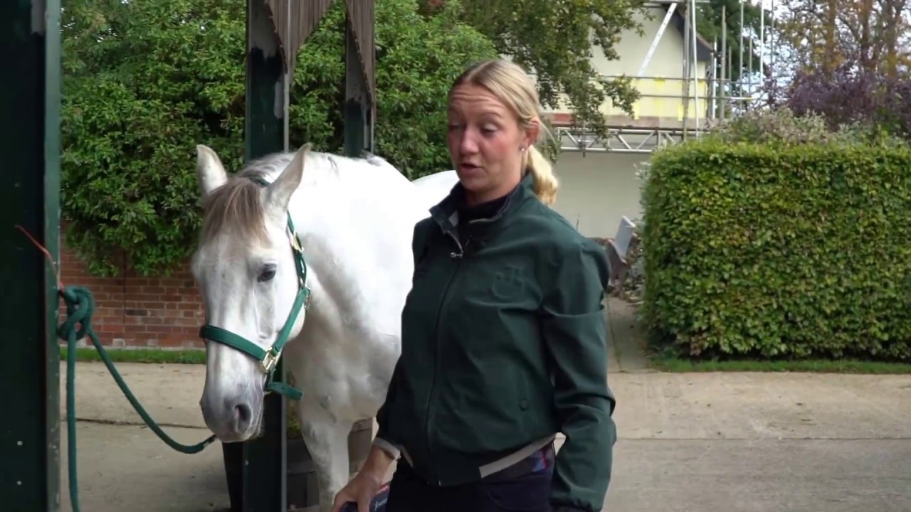Sharon Hunt - Professional Equine Clipping Techniques