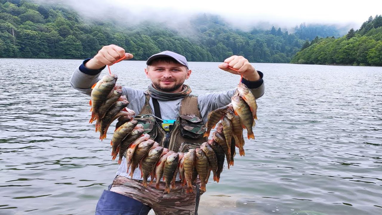 Ловля окуня на Озеро Шаори в Грузии
