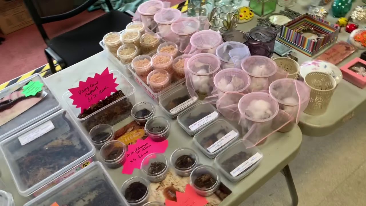 THE WESTERN INVERTEBRATE SHOW