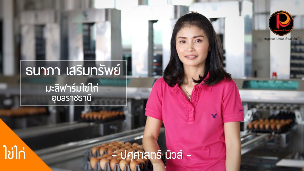 มะลิฟาร์มไข่ไก่ ร้านไข่เจ้าใหญ่ อุบลราชธานี | ปศุศาสตร์ นิวส์