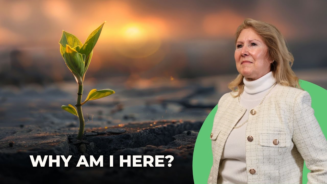 Why Am I Here? - Daily Hope Devotional