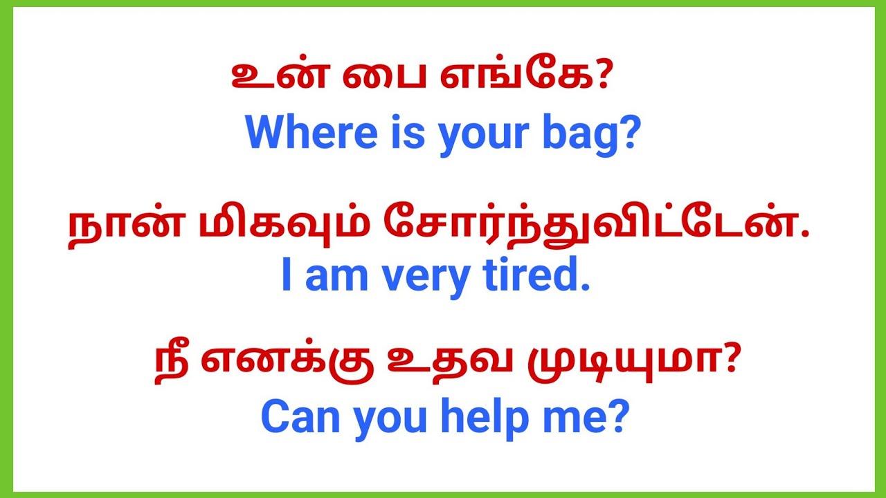 10 Daily Usage English Sentences for Beginners | Speak English Easily | Day - 7 | Cactus Saying