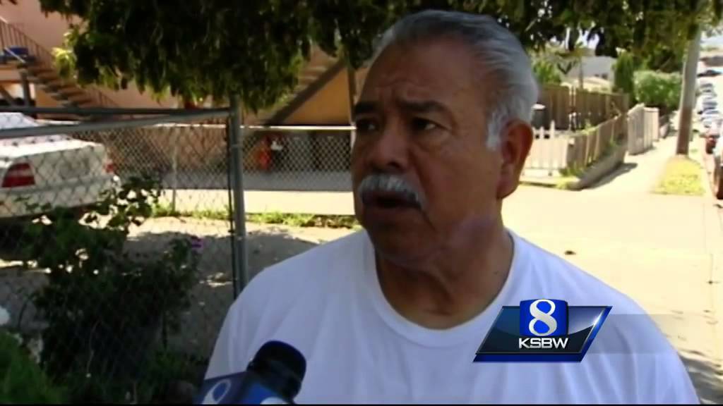 Salinas police: 500 marijuana plants, indoor grow found in house