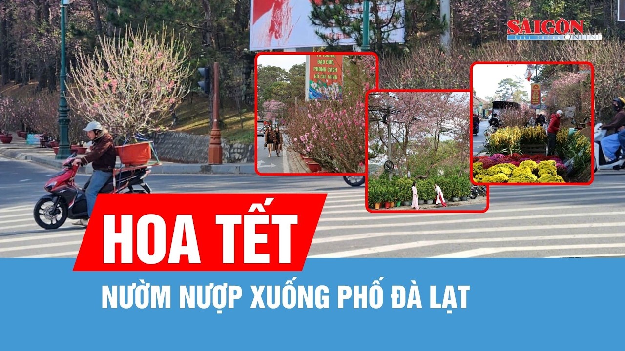 Hoa tết nườm nượp xuống phố Đ&agrave; Lạt
