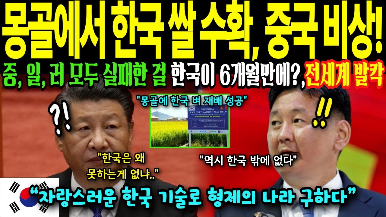 [해외감동사연] 한국이 몽골에서 일으킨 기적! 중국, 일본, 러시아가 40년간 실패한 몽골 쌀농사, 한국이 6개월만에 성공시킨방법