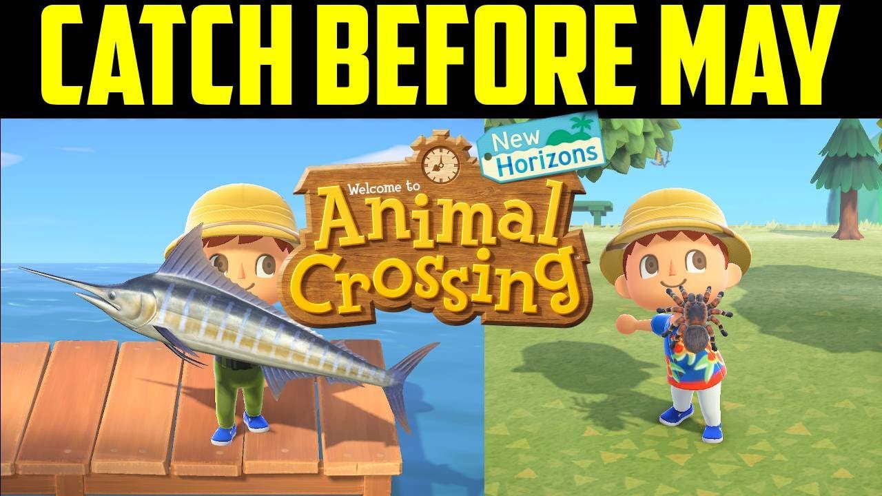 Fish and Bugs You Need to Catch in Animal Crossing New Horizons Before the End of April!
