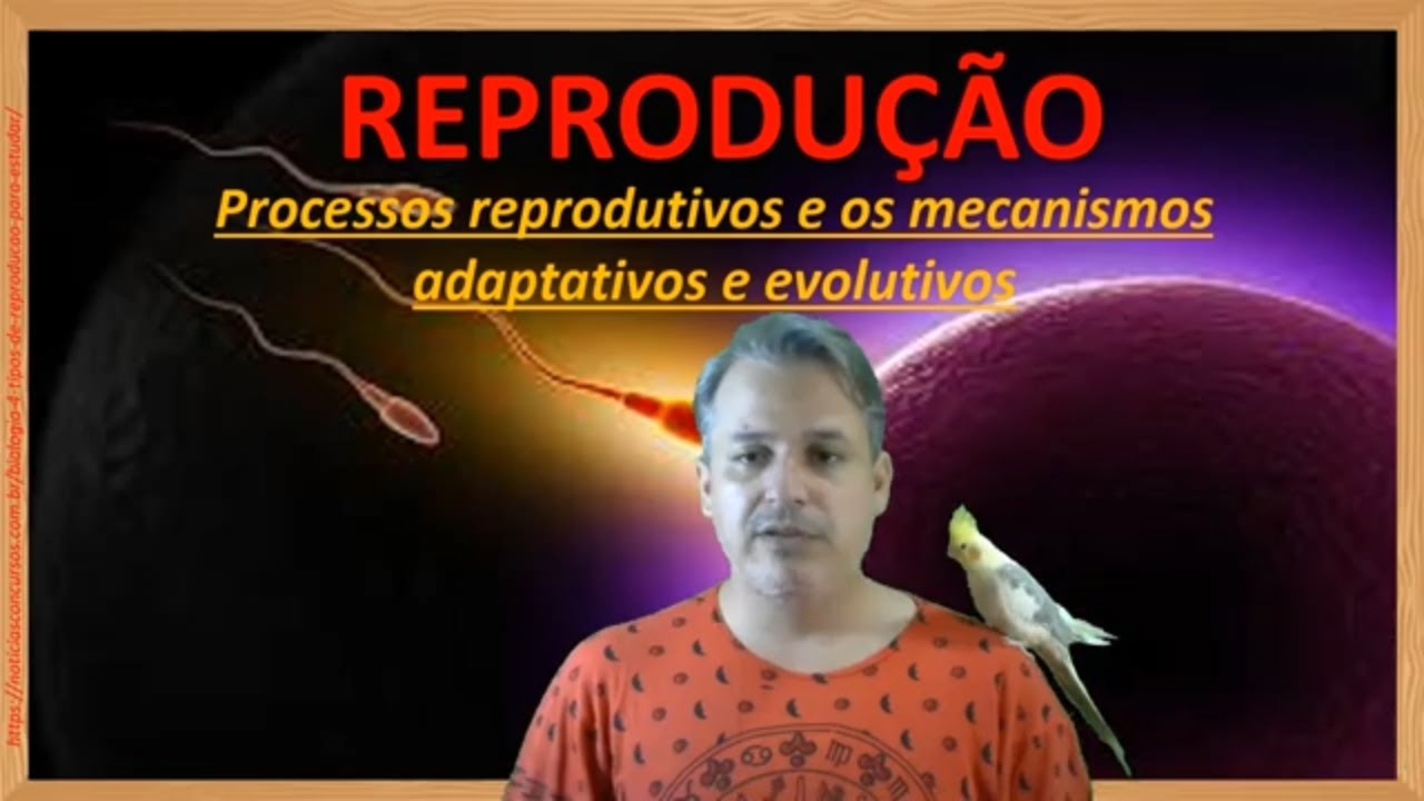 Reprodução Sexuada e Assexuada: Como as Espécies se Reproduzem?