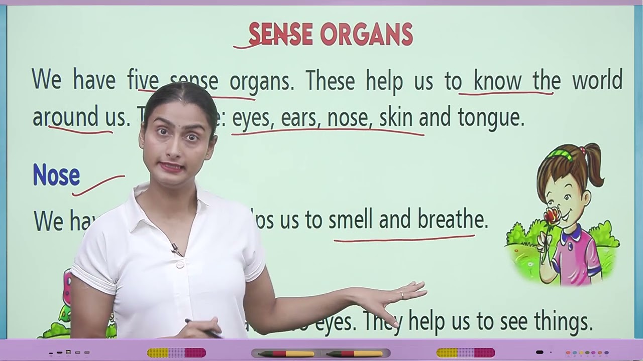 Ch 1 | Jophiel Books | Science | Class 1 | Our Body | For children