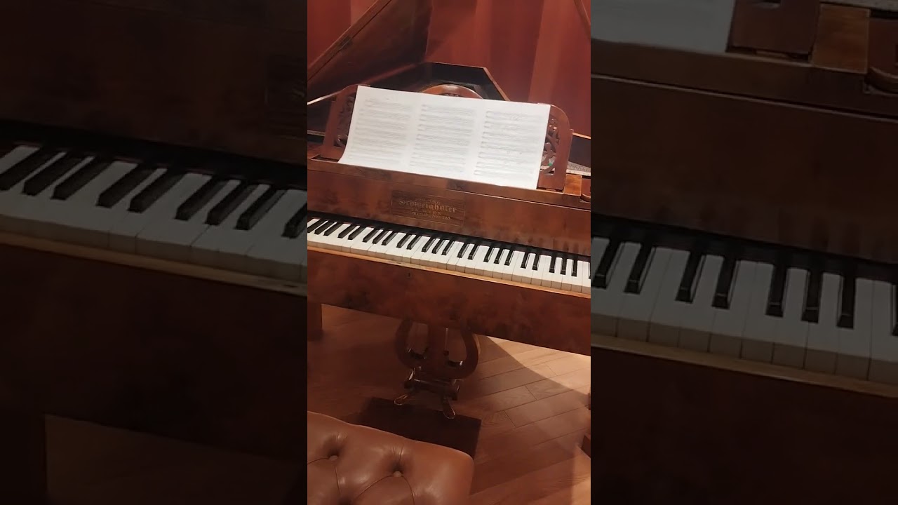UNA EXPERIENCIA UNICA E INOLVIDABLE PIANOS DEL SIGLO XVI - XVII- XVIII TOKIO JAPÓN 🇯🇵