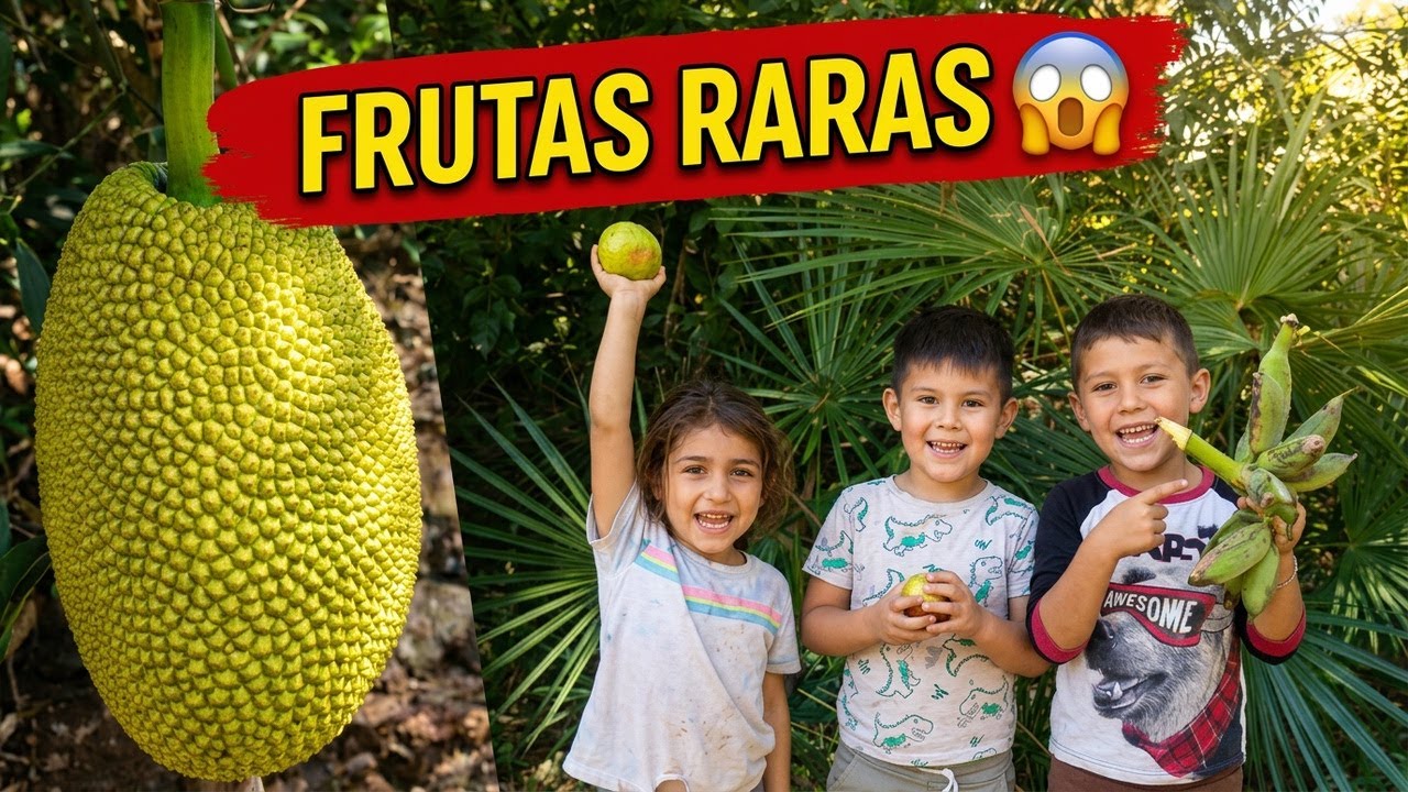 Les muestro los árboles de frutas exóticas que tiene mi abuelo en el rancho 😲