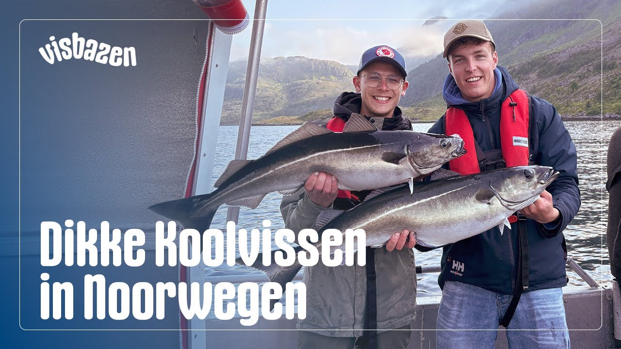 Dikke KOOLVISSEN in NOORWEGEN!🇳🇴| VISbazen On Tour #4
