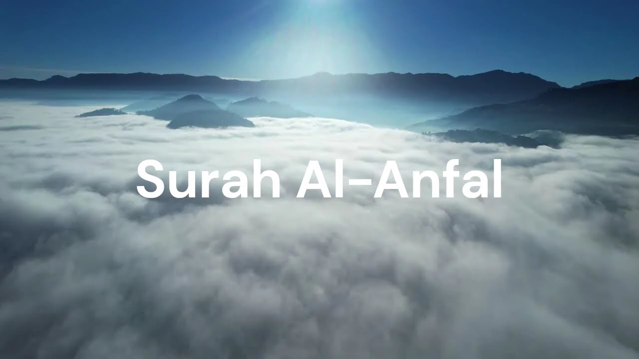 8. Surah Al-Anfal. Sheik Hani Ar-Rifai