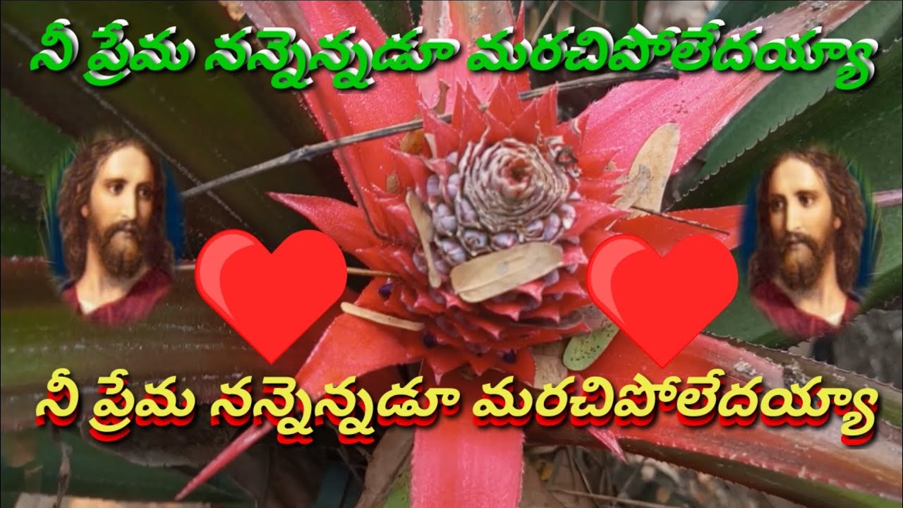 నీ ప్రేమ నన్నెన్నడూ మరచిపోలేదయ్యా