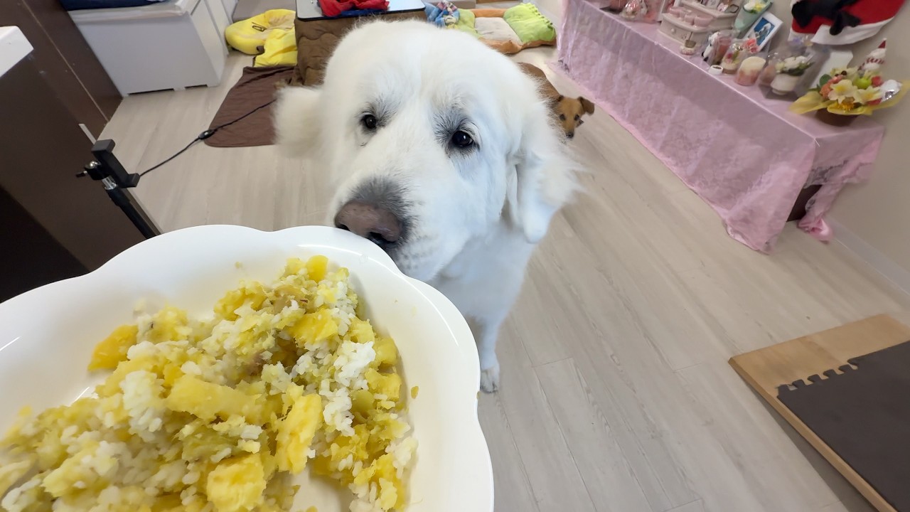 お芋さんをたくさんいただきましたのでお芋ご飯