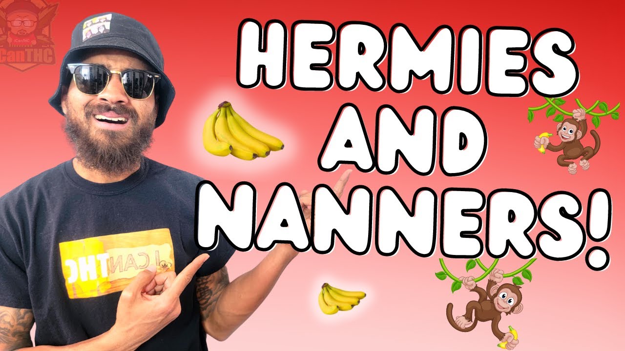 HERMIES AND NANNERS?! STOP THIS! ... (Hermaphrodite plant prevention)