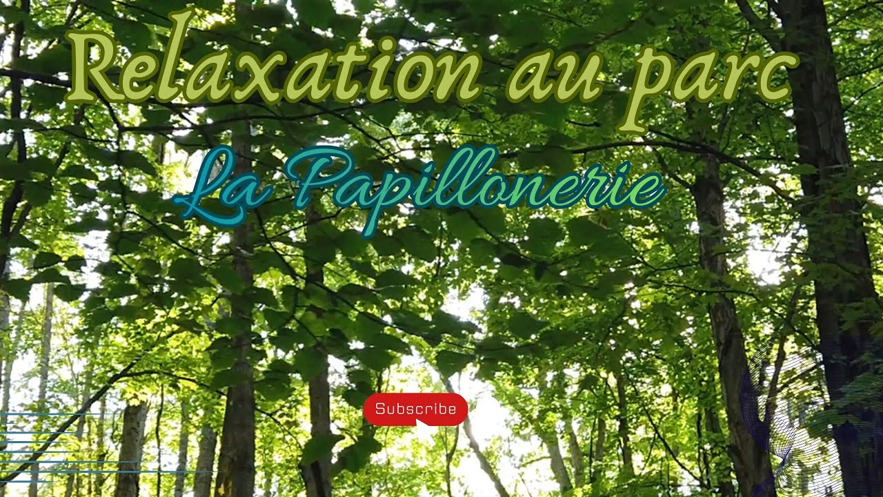 Relaxation au parc Calme Mental & Bien Être - La Papillonerie
