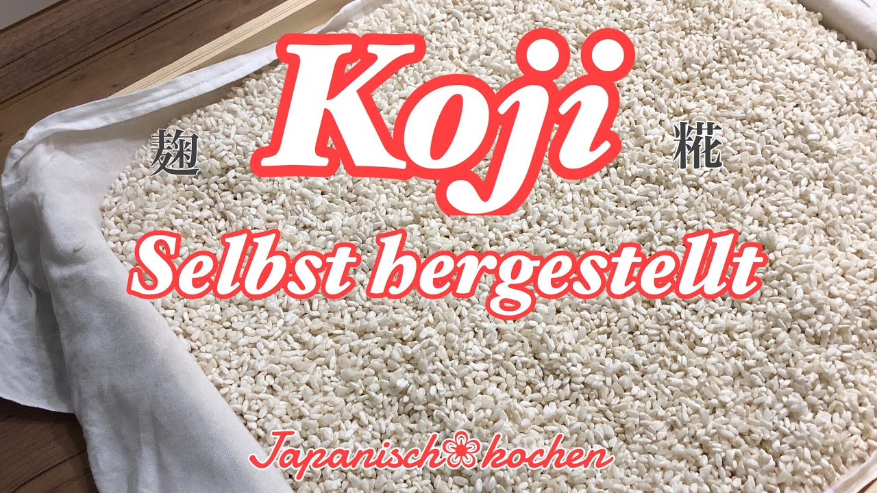 Koji-Kultur auf Reis selbst hergestellt /[日本語字幕]麹を作ってみました