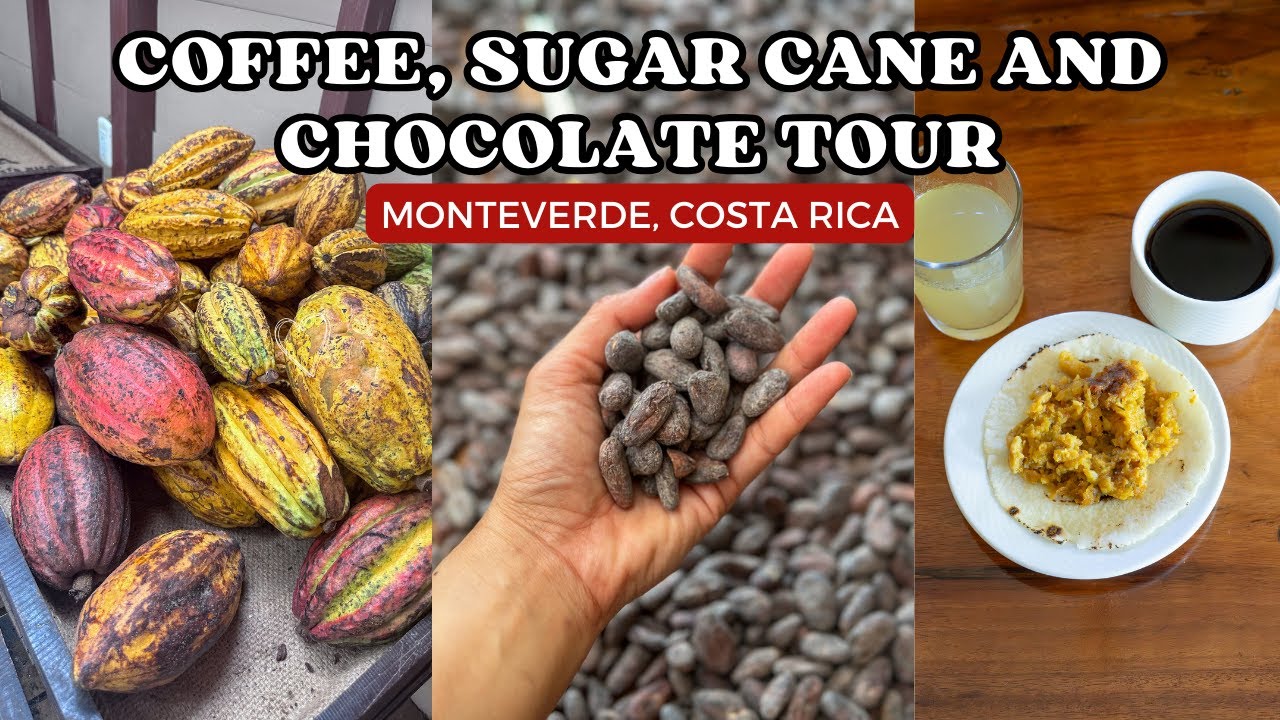 Monteverde Farm Tour (Coffee, Sugar Cane and Cacao - El Trapiche)