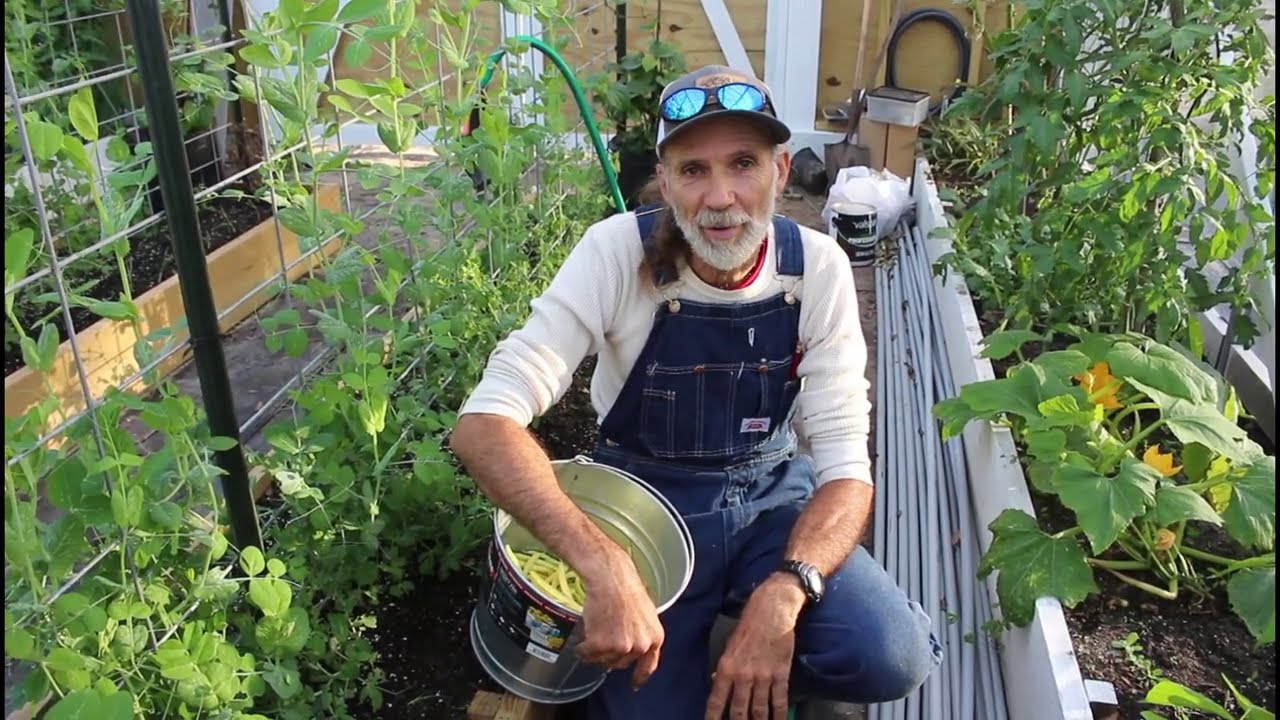 CAN We Grow ONIONS in a GREENHOUSE?