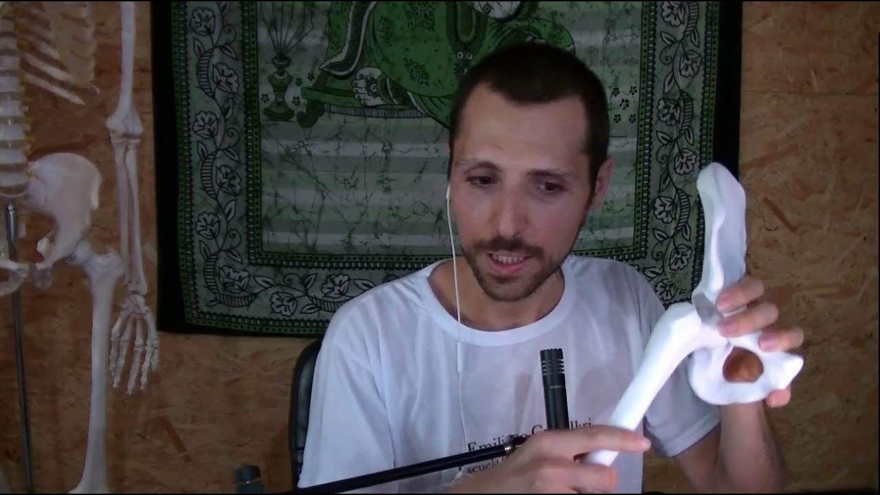 Biomecánica aplicada al Yoga