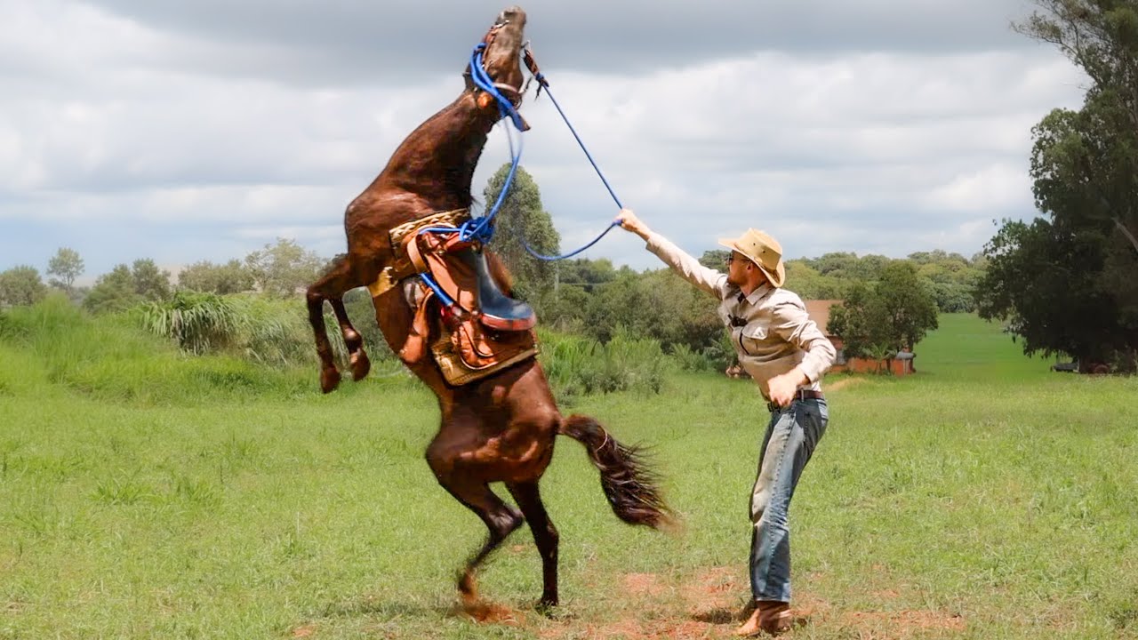 ATTEMPTING TO RIDE AN 
